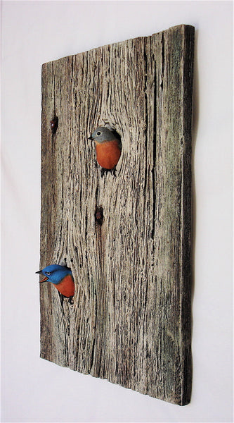 Eastern Bluebird Double Knot Hole