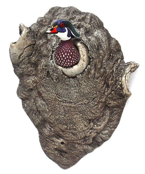 Wood Duck "Moving In"