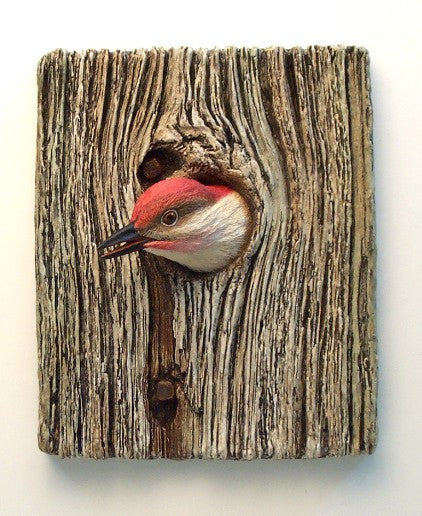 Demi Knot Hole Red-bellied Woodpecker