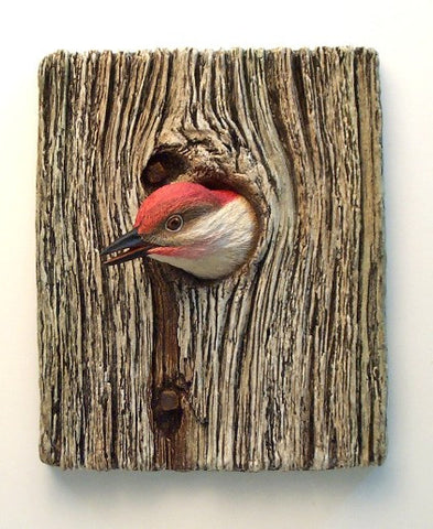 Demi Knot Hole Red-bellied Woodpecker