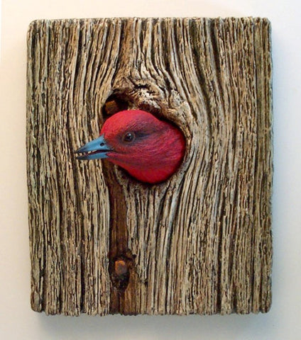Demi Knot Hole Red-headed Woodpecker