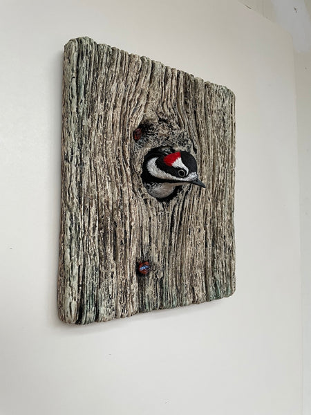 Downy Woodpecker "Demi Knot Hole"