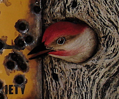 Red-bellied Woodpecker "Posted"
