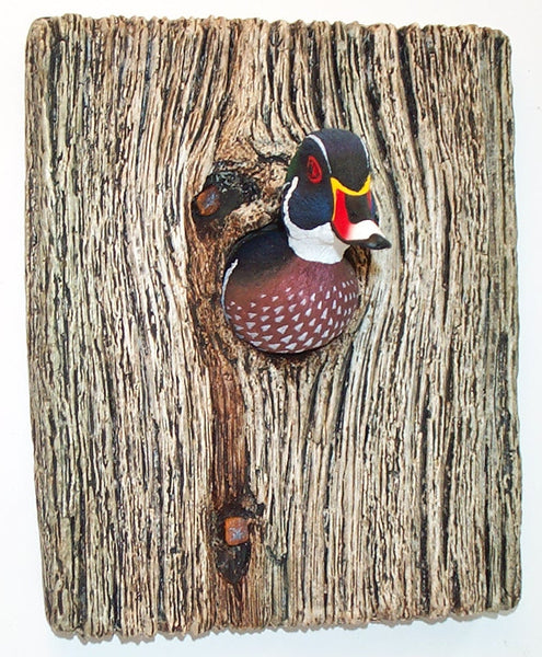 Wood Duck Demi Knot Hole