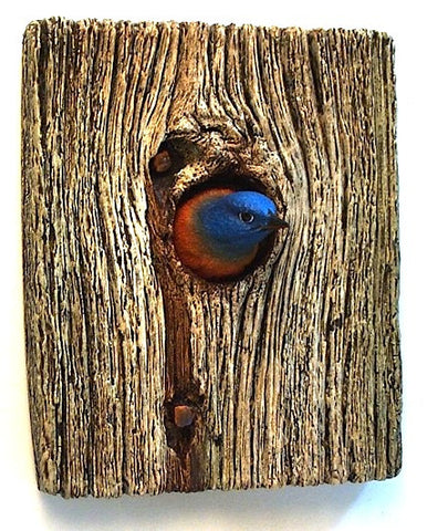Demi Knot Hole Western Bluebird