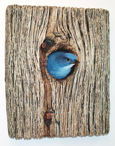 Mountain Bluebird Demi Knot Hole