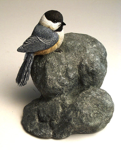 Black-capped Chickadee "Little Rock"