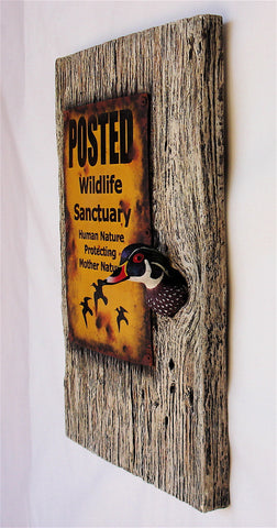Wood Duck "Sanctuary"