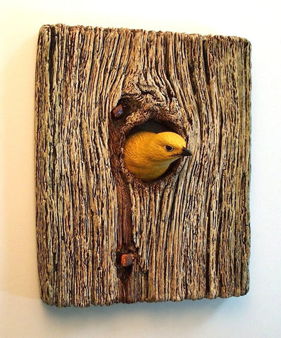 Demi Knot Hole Golden Warbler