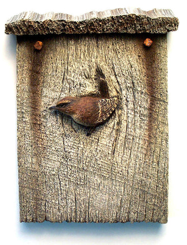 Winter Wren Rooftop