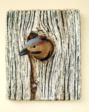 Demi Knot Hole Northern Flicker
