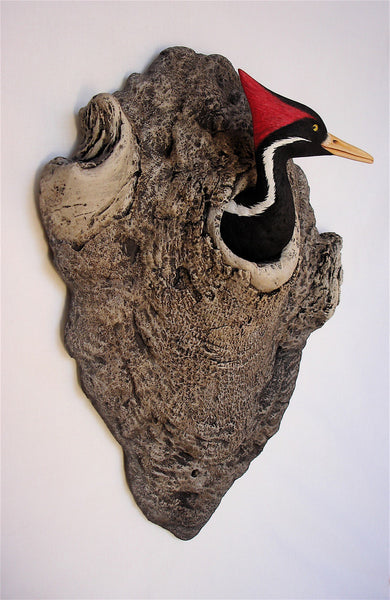 Ivory-billed Woodpecker Art