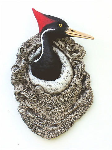 Ivory-billed Woodpecker   "Hide & Seek"