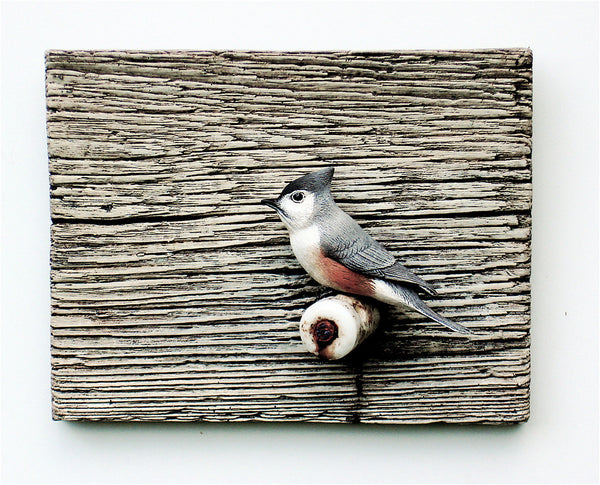 Tufted Titmouse "Peter's Perch"