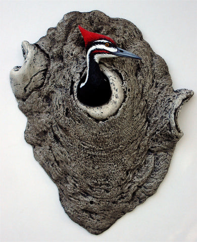 Pileated Woodpecker "Mr. Tree"