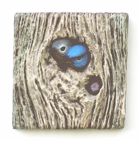 Eastern Bluebird "Keepers"