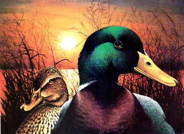 Mallard Pair "Native Gothic" Print