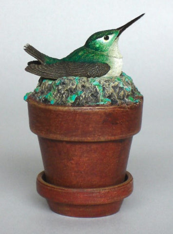 Ruby-throated Hummingbird