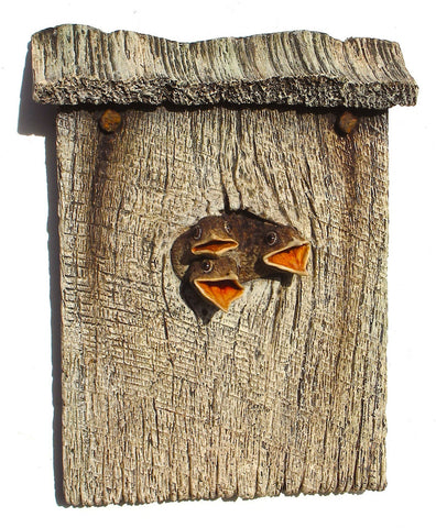 Wren Chicks "Rooftop"