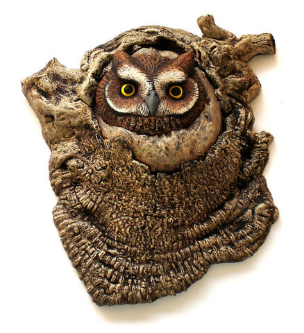 ICU Screech Owl 