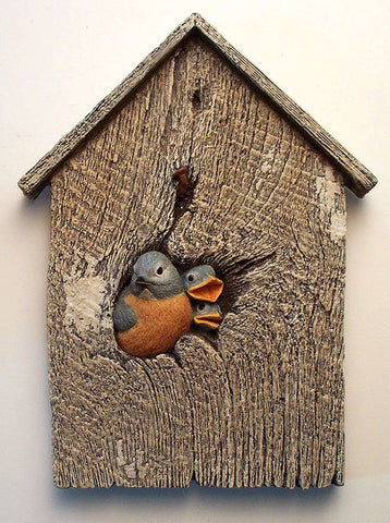 Eastern Bluebird female with Chicks Birdhouse