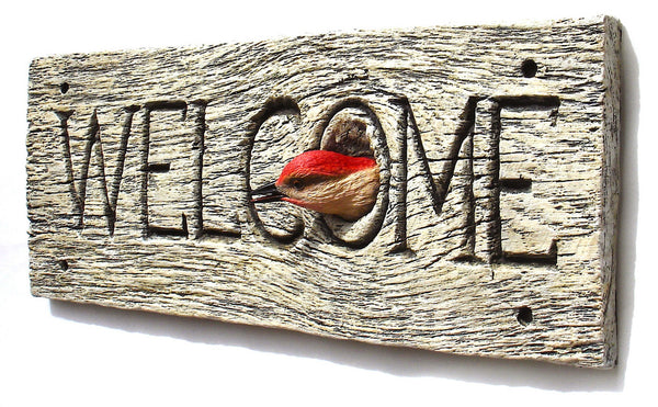 Red-bellied Woodpecker "Welcome"