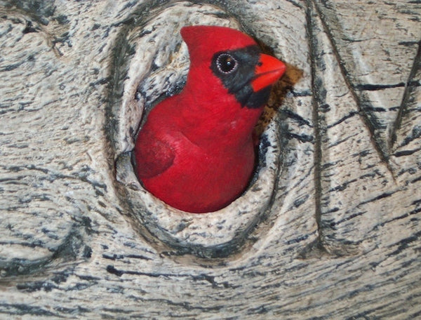Cardinal Bird Detail